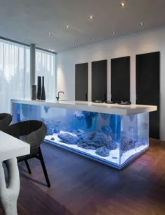 Warum sollten Sie das Interieur mit Aquarium einrichten؟