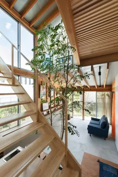 آزمایشگاه Yukawa Design's Margin House در اطراف یک دهلیز چند منظوره با یک درخت ساخته شده است