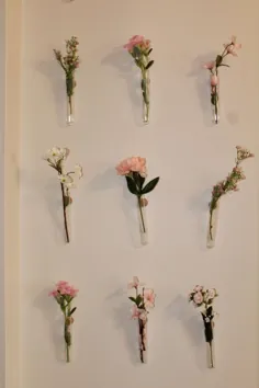 گل آویز تزیین دیواری |  گلدان زیبایی و گلدان ساکولنت |  گلدان های شیشه ای دکوراسیون اتاق با گل