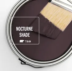 Color of the Month: Nocturne Shade |  رنگارنگ BEHR