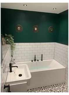 حمام سیاه و سفید سبز
