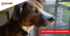 صفحه اثبات حیوان خانگی - صفحه های ضد گربه سگ را برای ویندوز و درب بخرید