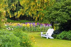 باغ زنبق شراینر