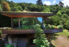 این چرا شما می خواهید یک سقف سبز زنده در خانه خود داشته باشید
