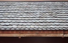 19 نوع مختلف از سقف زونا (جوانب مثبت ، منفی و هزینه ها)