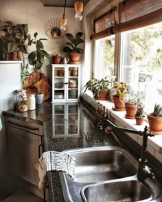 فضای داخلی آشپزخانه |  بوهو |  گیاهان