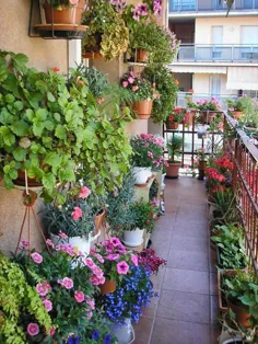 42 идеи вертикального озеленения балкона - INMYROOM