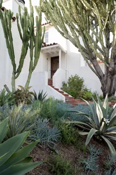 بازدید از باغ: سبک استعماری اسپانیایی ساخته شده مدرن در LA - Gardenista