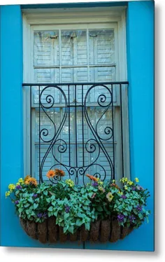 چاپ فلزی خانه آبی Charleston Window Box توسط Norm Rodrigue