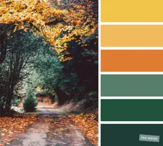 59 طرح رنگی بسیار پاییزی {سبز + نارنجی + زرد + خردل}