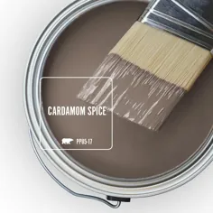 BEHR ULTRA 5 گالری  # PPU5-17 Cardamom Spice Satin Enamel External Paint & Primer-985305 - انبار خانه