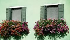 گلهای مصنوعی برای یک جعبه پنجره |  eHow.com