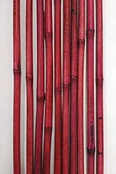 صنایع دستی گلهای سبز - قطب های تزئینی بامبو 3.5 فوت ، 10 عدد چوب بامبو قرمز روشن