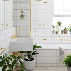 بهترین گیاهان برای حمام بدون ویندوز