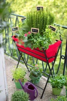 Jardin urbain contemporain: jardinage ustensile ، mini potager ، ...