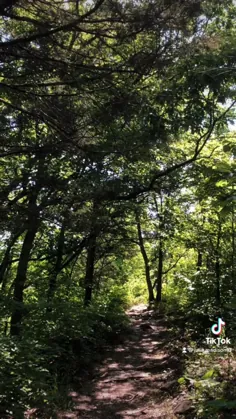 طبیعت گردی کوه های سبز تناسب اندام ساده در فضای باز تیکتوک لحظات درختان تپه مسیر پیاده روی اوزارک
