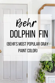Behr Dolphin Fin ~ A Warm Grey