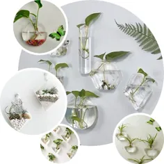 3 بسته - گلدان دیواری شیشه ای به شکل گل - گیاهان دیواری داخلی - تراریوم های آویز
