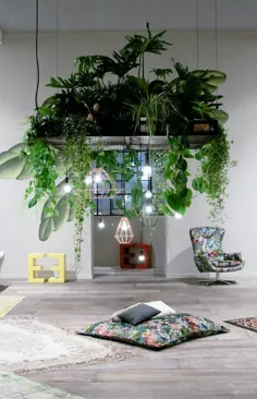 99 ایده عالی برای نمایش گیاهان خانگی |  تزئین گیاهان داخل سالن