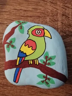 طوطی سنگ نقاشی کرد