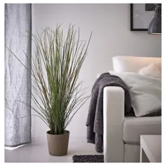 FEJKA گیاه گلدان مصنوعی ، چمن - IKEA