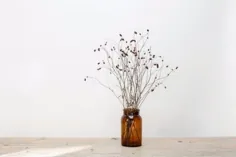 گلدان شیشه ای قهوه ای بزرگ جنگل - Trouva