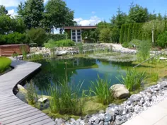 استخر طبیعی یا استخر شنا - طرح باغ Zangl