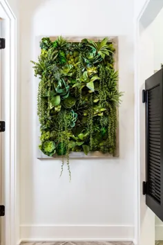 Mur végétal: inspiration pour un coin nature intérieur ou extérieur