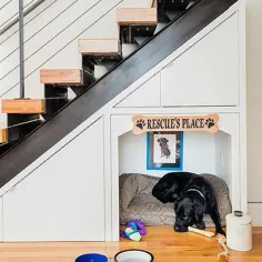 تختخواب سگ زیر پله - معاصر - ورودی / سرسرا