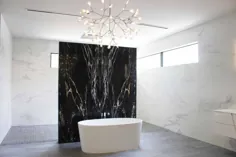 دیوار ویژه حمام سنگ مرمر سیاه و طلای Zebrino |  گالری سنگ آریا