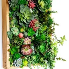 گیاه دیوار مصنوعی Succulent Wall Succulent Wall Art |  اتسی