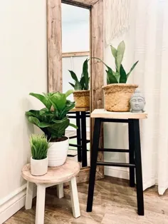 گیاه DIY از یک چهارپایه میله ای مخلوط شده است