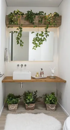 10 espécies de plantas برای تزئینات banheiro